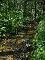 Ручей Лалетина