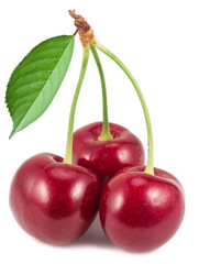 Three ripe red cherries on the white background.