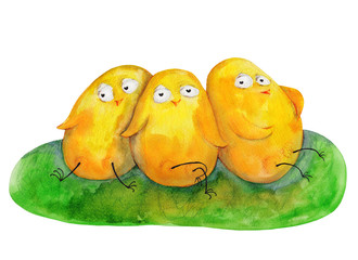 3 chicken on grass. Watercolor