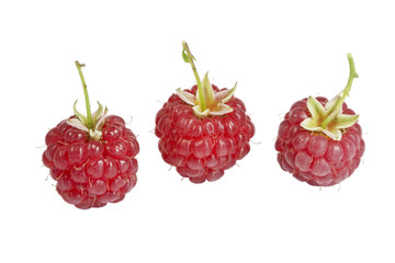Ripe raspberries isolated on white background macro