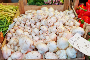White button mushrooms - 88867051