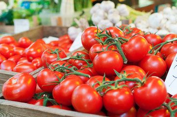 Bunch of tomatoes - 88867063