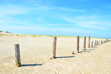 Holzpfähle am Nordseestrand