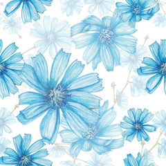 Chicory pattern