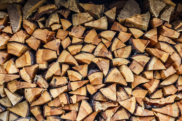 Wood lined out to dry. A stack of firewood harvested for winter