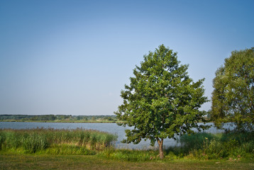 nad wodą © Mariusz Stoszewski