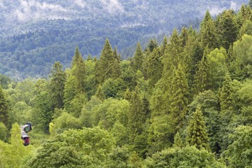 Obraz premium Train in mountain