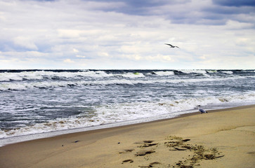 Baltic Coast