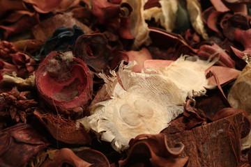 Fruttta secca e trucioli di legno