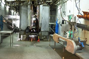 equipment for processing of pork