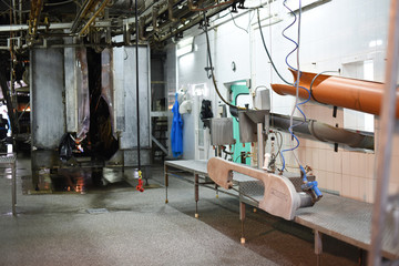 equipment for processing of pork