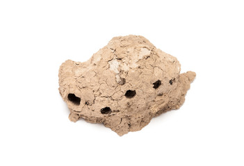 Clay hive of Sphecidae isolated on white background