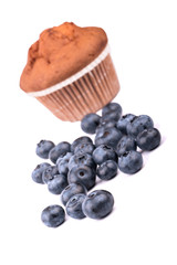 Muffin with blueberries