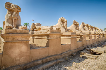 Avenue of ram-headed sphinxes in the ancient Egyptian temple of Amun-Re  (Karnak Temple Complex,...