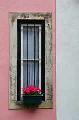 Fototapeta na wymiar Old windows with flower pots