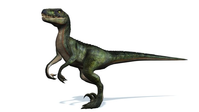Velociraptor」の画像 - 6,062 件の Stock 写真、ベクターおよびビデオ | Adobe Stock