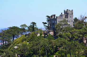 Fototapeta na wymiar Castle on the hill in Sintra