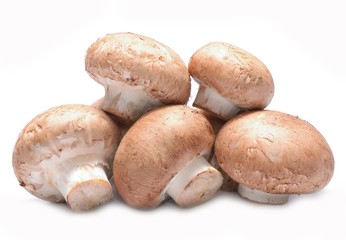 Champignon on white background