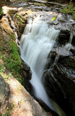 Fototapeta premium Waterfall in Bushkill Falls national park, USA