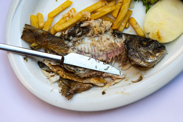 Fisch mit Pommes