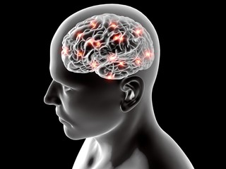 Fototapeta premium Cervello neuroni sinapsi, anatomia corpo umano, profilo testa, malattia