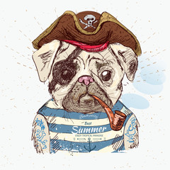 Illustration of pirate pug dog 