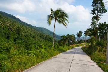 Open road at beautiful tropic mountains at Samui island, Thailand.