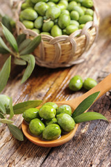 Olive oil with fresh olives
