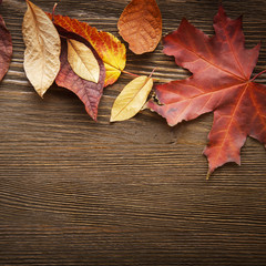 Naklejka na ściany i meble autumn leaf on wood background