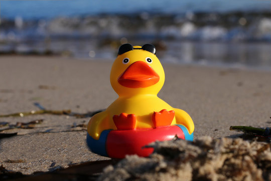 Spielzeugente auf Badering am Ostseestrand