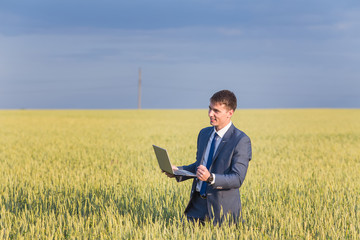 Businessman on a wheat field 