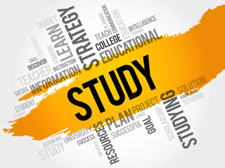 STUDY word cloud, education concept
