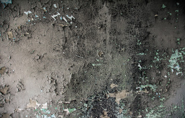 The charred surface of the wall