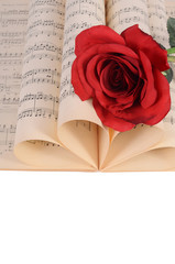 The rose on notebooks with notes