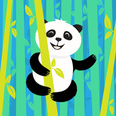 Panda in the bamboo