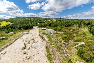 Fototapeta na wymiar On the trail near Pec Pod Snezkou in Krkonose mountains, Czech Republic 