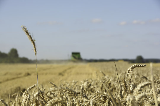 Landwirtschaft