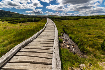 On the trail near Pec Pod Snezkou in Krkonose mountains, Czech Republic
