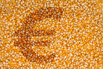 Market for agricultural commodities – Corn