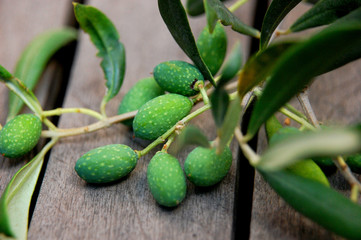 Frische grüne Oliven auf Holztisch