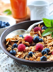 homemade granola with fresh blueberries, raspberries, raisins, milk and honey. Healthy Breakfast
