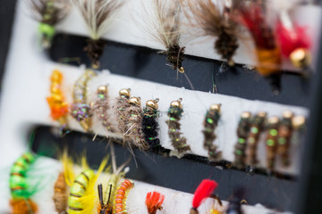 different fly fishing bugs in box