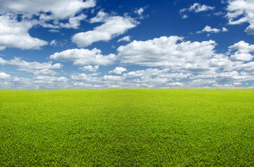 Green field and sky