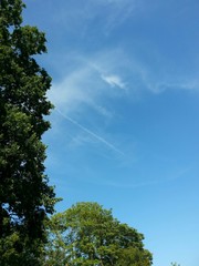 Himmel über Baumkronen