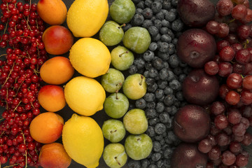 Colourful fruits in rainbow colours