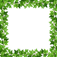 Fototapeta na wymiar Vector frame with green ivy leaves on a white background.