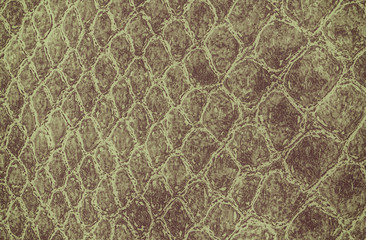 Crocodile skin leather texture
