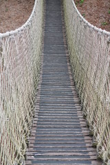 Rope and plan bridge