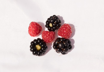 Blackberries fruits