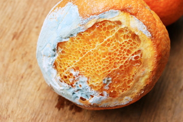 rotten orange fruit on wood vintage